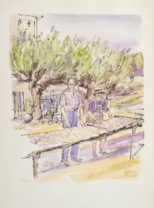 Water color painting of two people sorting figs