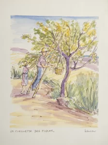 Watercolor painting of two people Picking Figs